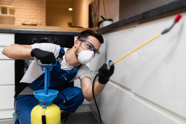 Best Residential Pest Control  in Tolleson, AZ